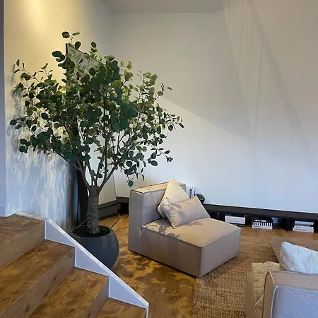 Thebigcozyplace باد مونستريفل